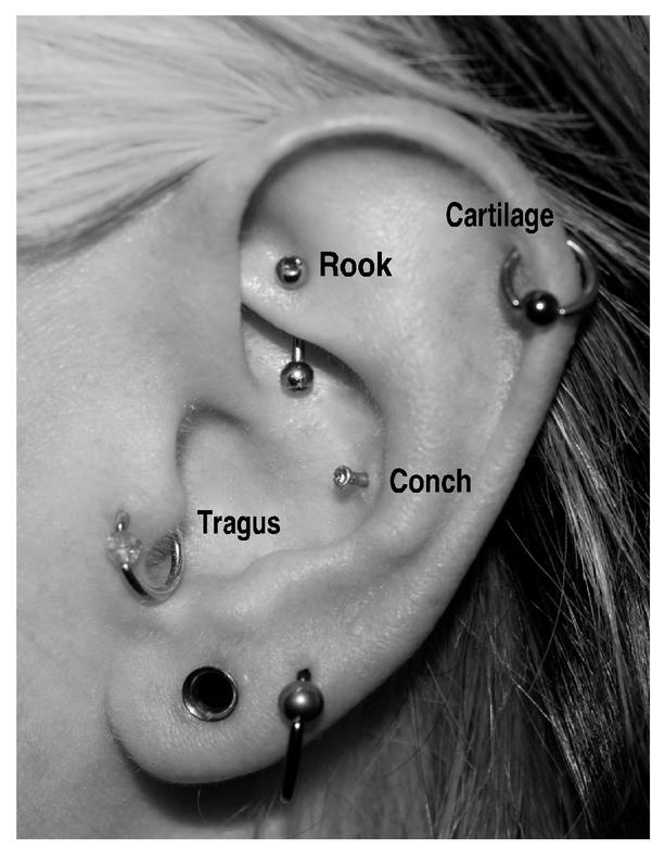 Tragus With Barbell